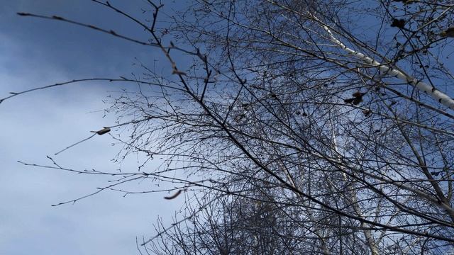 8 апреля-ДЕНЬ АРХАНГЕЛА ГАВРИИЛА.БЛАГОВЕСТ.Исполняются все желания .Народные приметы.Поверья предко смотреть онлайн