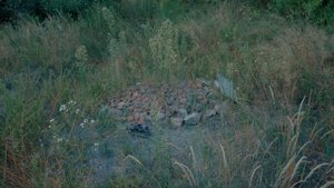 Охота На Реального Скромника В Лесу ! Сняли Его На Камеру ! SCP Монстер ! Потусторонние