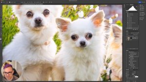 How To Make Multiple Dogs Eyes Sparkle  - Dog Photography Editing