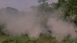 Bài Ca Hồ Chí Minh! Ballad of Ho Chi Minh!