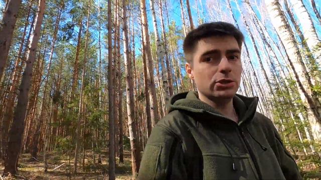 Дом в лесу из валежника своими руками