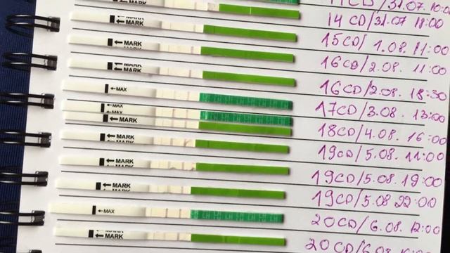 ПЛАНИРУЕМ БЕРЕМЕННОСТЬ - ДЕЛАЕМ ТЕСТЫ ВМЕСТЕ смотреть онлайн