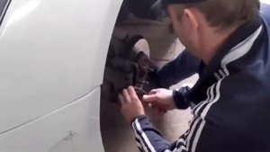 Устранение стука суппортов Шевроле CRUZE