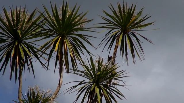 Полет над рекой между гор смотреть онлайн