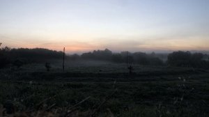 Деревня. Рассвет.Звуки природы