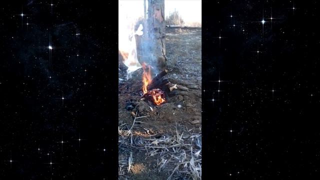 Что будет если пакет с бензином подвесить над костром. смотреть онлайн