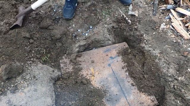 ЗАПЁК ГУСЯ В ЯМЕ.ЦЕЛЫЙ ГУСЬ В ЗЕМЛЕ