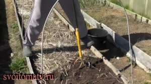 Как подготовить грядки к посевам и посадкам