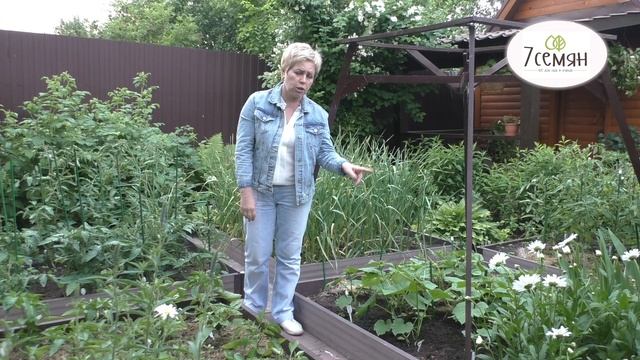 КАК УХАЖИВАТЬ ЗА ОГУРЦАМИ ТАК, ЧТОБЫ ПОЛУЧИТь ОТЛИЧНЫЙ УРОЖАЙ + РЕЦЕПТ ЗЕЛЕНОГО УДОБРЕНИЯ!