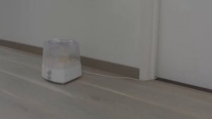 How to fix creaking wooden floors | Tutorial by Pergo