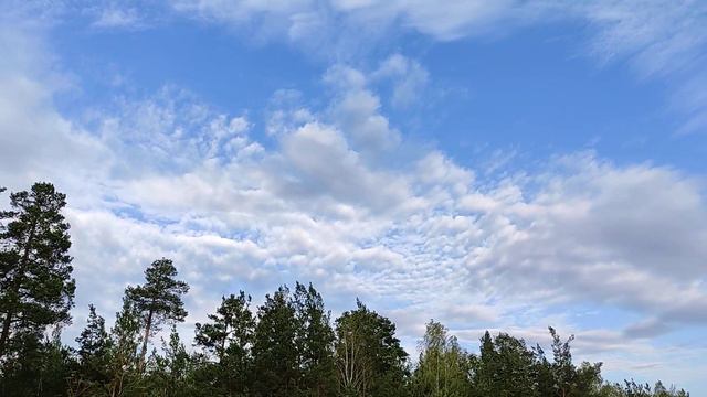 Облака глазами художника. Особенности написания неба в пейзаже. Приглашаю на открытый урок 20.09.22 смотреть онлайн