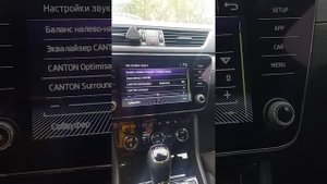 Аудиосистема CANTON в SKODA. Как правильно настроить, объясняет эксперт по акустике.