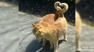 Добрая ПЕСНЯ"А НА ЗЕМЛЕ БЫТЬ ДОБРУ"! 😇😇😇🌼🌼🌼