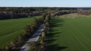 Поливановская аллея в мае  Акшуат  Ульяновск   Барыш