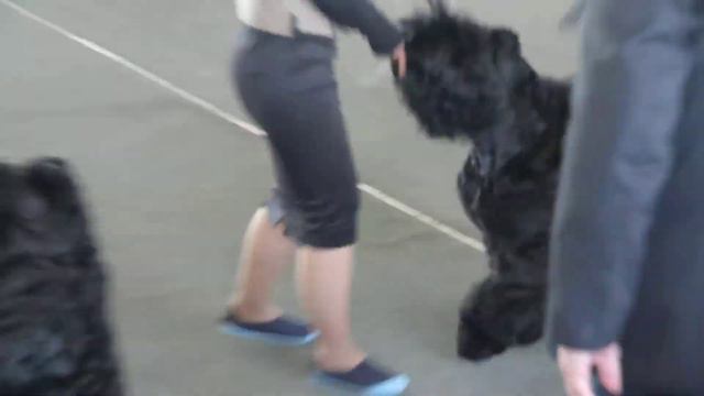 MVI 1041 смотреть онлайн