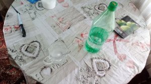 Обработка пчел щавелевой кислотой  от клеща варроа. Один из способов.