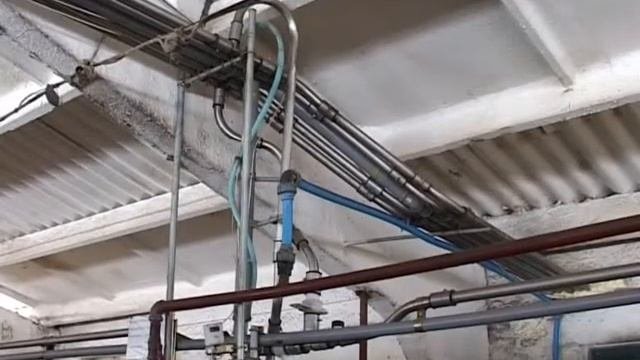молокопровод англ