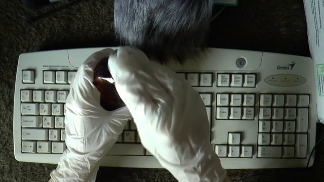 АСМР |Клавиатура 2.0| Перчатки | Шуршалки | keyboard cleaning asmr | смотреть онлайн
