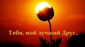 Тебя, мой лучший Друг..