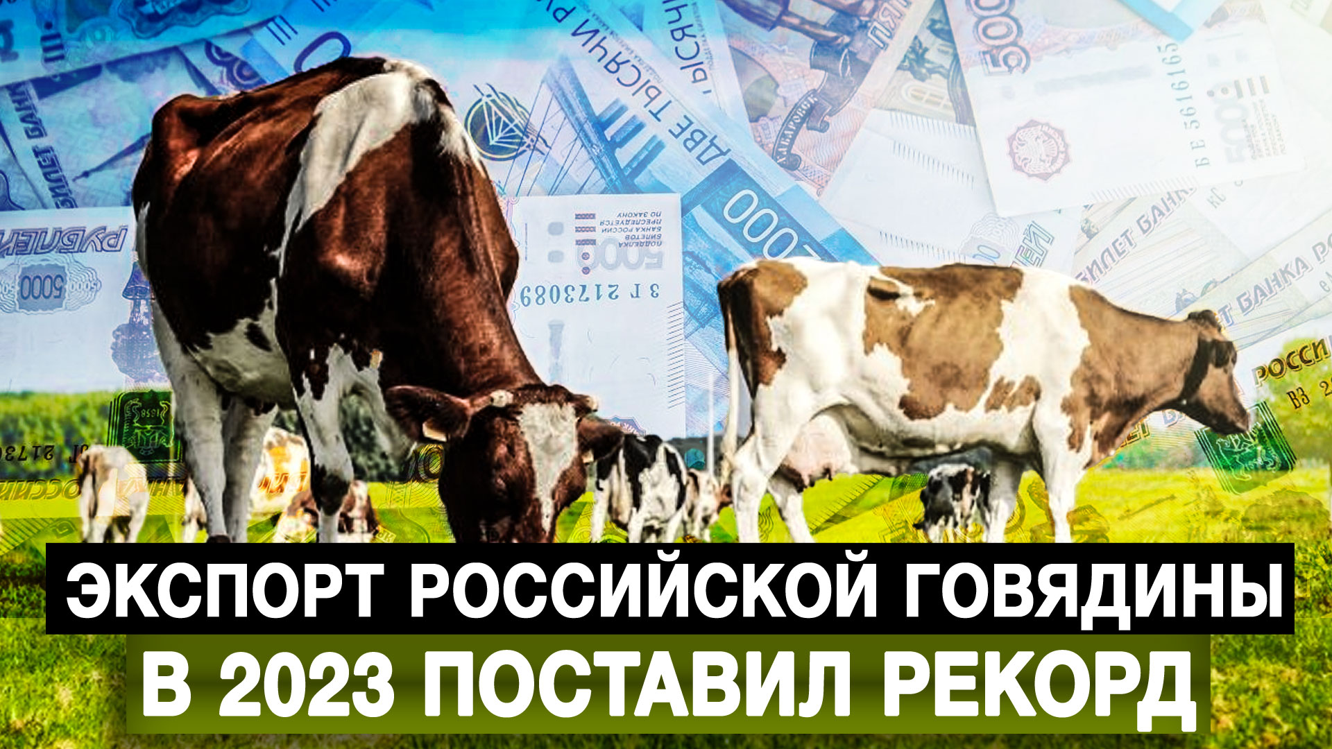 Поставь 2023 год