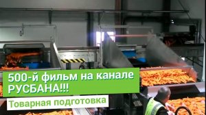 Концепция овощного центра по предпродажной подготовке  на 150 000 тонн в год