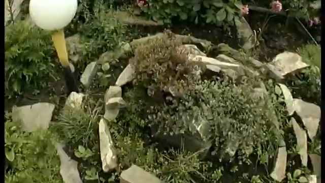 Солнечный участок сада. Ландшафтный дизайн. смотреть онлайн