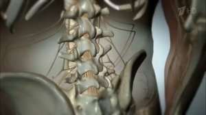 Радикулит и радикулопатия