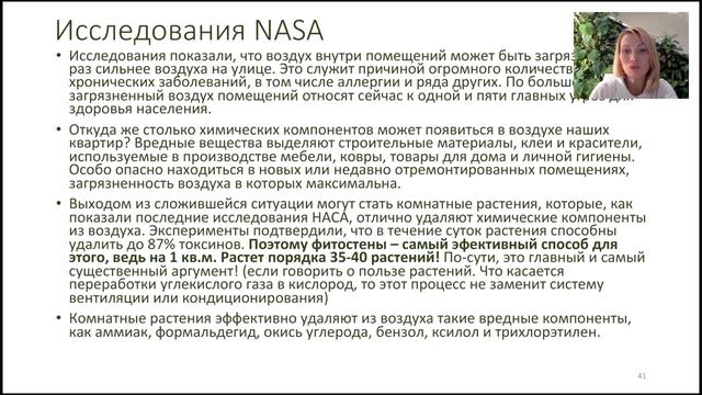 Вертикальное озеленение в интерьере. Фитостены - правда и мифы.