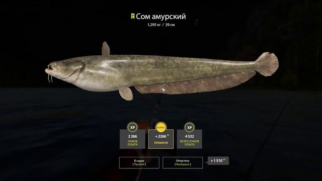 Сом амурский | дабл джиг | р. Нижняя Тунгуска | Русская Рыбалка 4