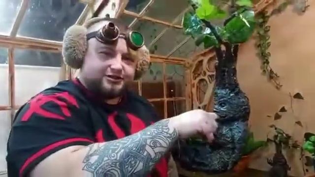 Хогвартс пересаживаем Мандрагору!
