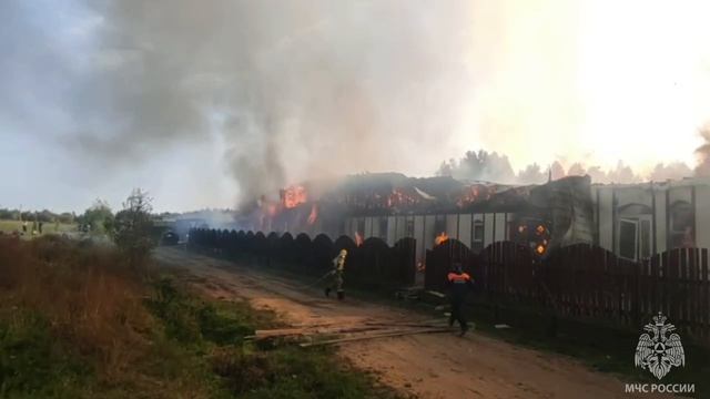 Из горящей конюшни в Ленинградской области спасены все животные