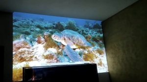 Proyector Benq MX660