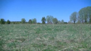 Заброшенные дома, мёртвые земли. Путешествие в покинутый мир.