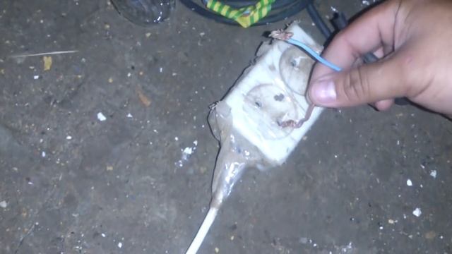 КАК ОПРЕДЕЛИТЬ ГДЕ ФАЗА БЕЗ ИНДИКАТОРА. смотреть онлайн