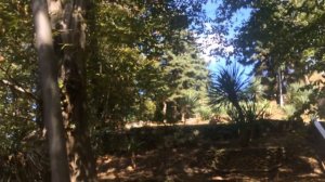 Пансионат Автомобилист в Сочи: Обзор Территории!