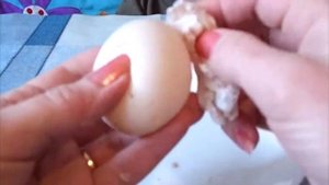 Сделали из яйца СКВИШИ / Опыты и эксперименты / Дети для детей
