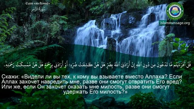 39. _Сура_ ❤️Аз-Зумар❤️ Мишари Рашид смотреть онлайн