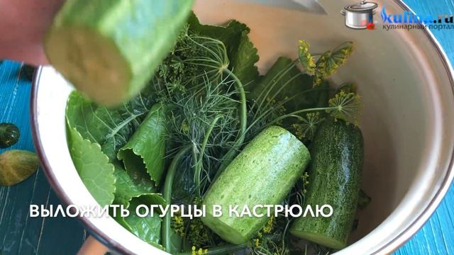 Малосольные огурцы с горчицей смотреть онлайн