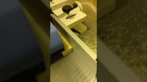 Нарезка шипа для склейки ламеллей