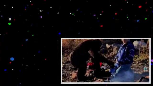 Ape Makes A Fire_ Kanzi The Bonobo Makes A Campfire