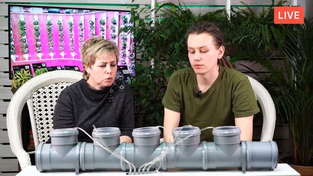ГИДРОПОНИКА ? Особенности выращивания растений методом гидропоники ? Обзор в прямом эфире