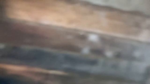 ТЕПЛЫЙ КОЗЛЯТНИК ДЛЯ НУБИЙСКИХ КОЗ. смотреть онлайн