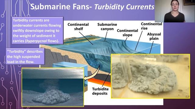 Submarine Fan Depositional Environments- turbidity currents and the Bouma sequence | GEO GIRL смотреть онлайн