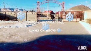 Цасан ширхэг хаялаад, шинэ он айсуй❄️