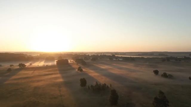 КАК ИЗБАВИТЬСЯ от СИЛЬНОЙ ЗАСТЕНЧИВОСТИ: 12 СОВЕТОВ