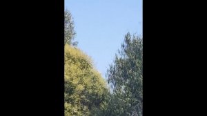 Дух Святой приди наполни нас + Молитва