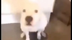 А как звучит битбокс с именем Ирина?