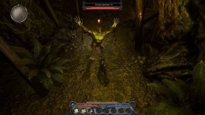 Divinity II: Developer's Cut - Прохождение #13: Загадочная пещера