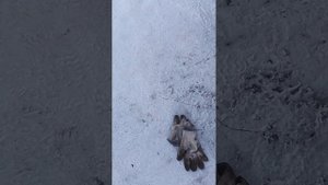 Антифриз NORTH WAY при -25 замёрз