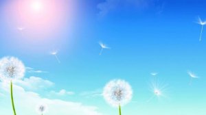 Футаж Одуванчики